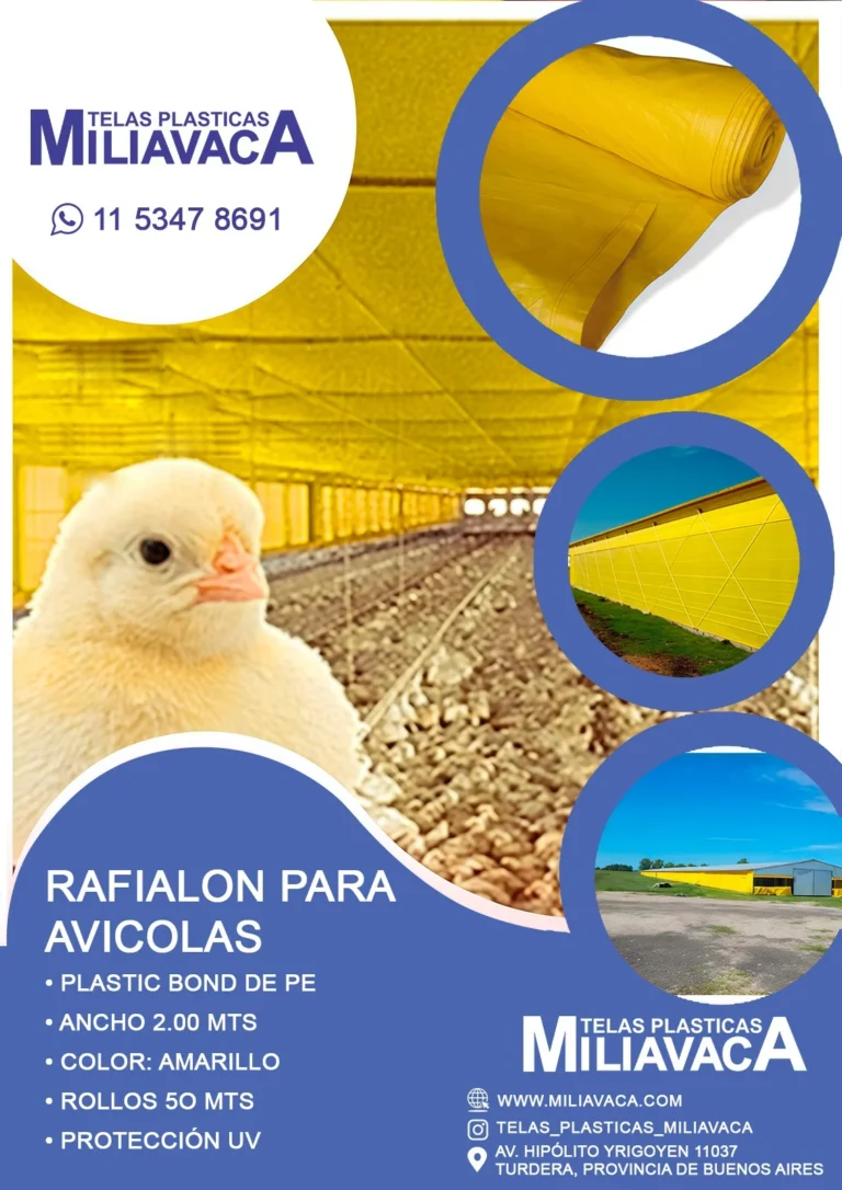 WhatsApp Image 2026-01-12 at 15.42.17 (1)