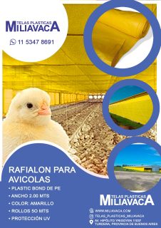 WhatsApp Image 2025-12-06 at 14.14.44 (2)